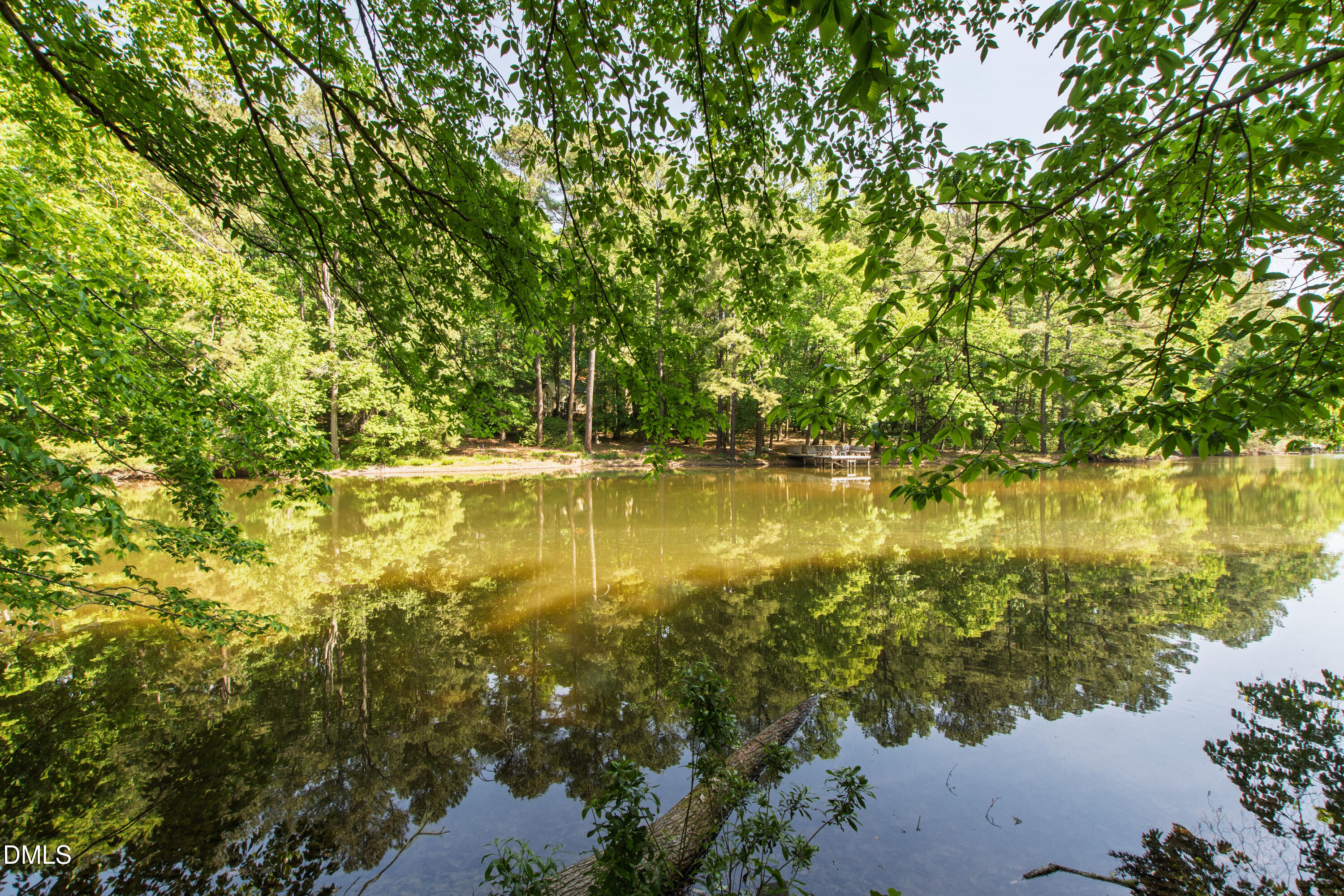 1424 Lake Adventure Court Raleigh, NC 27613 - Photo 75 of 100 Lake (90)