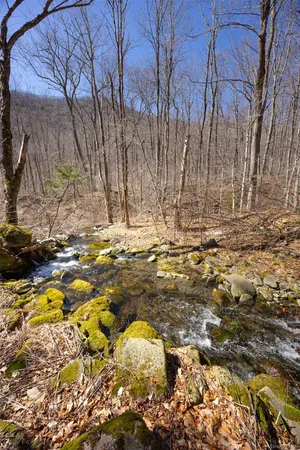 $2,800,000 | 2595 Highway 214, Hunter, NY 12450