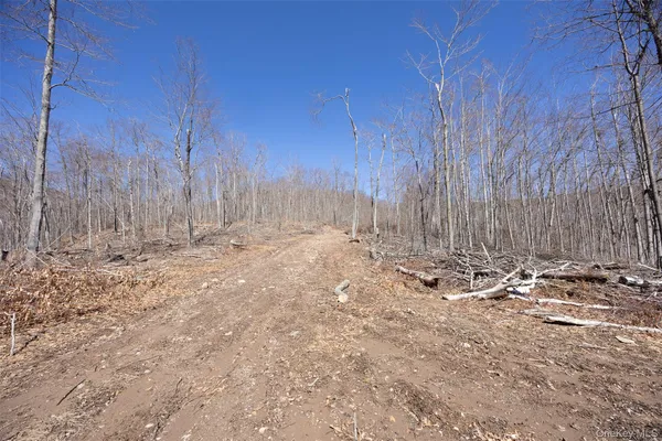 $2,800,000 | 2595 Highway 214, Hunter, NY 12450