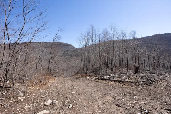 $2,800,000 | 2595 Highway 214, Hunter, NY 12450