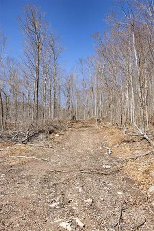 $2,800,000 | 2595 Highway 214, Hunter, NY 12450