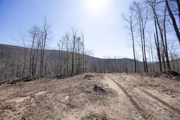 $2,800,000 | 2595 Highway 214, Hunter, NY 12450