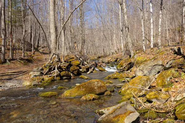 $2,800,000 | 2595 Highway 214, Hunter, NY 12450