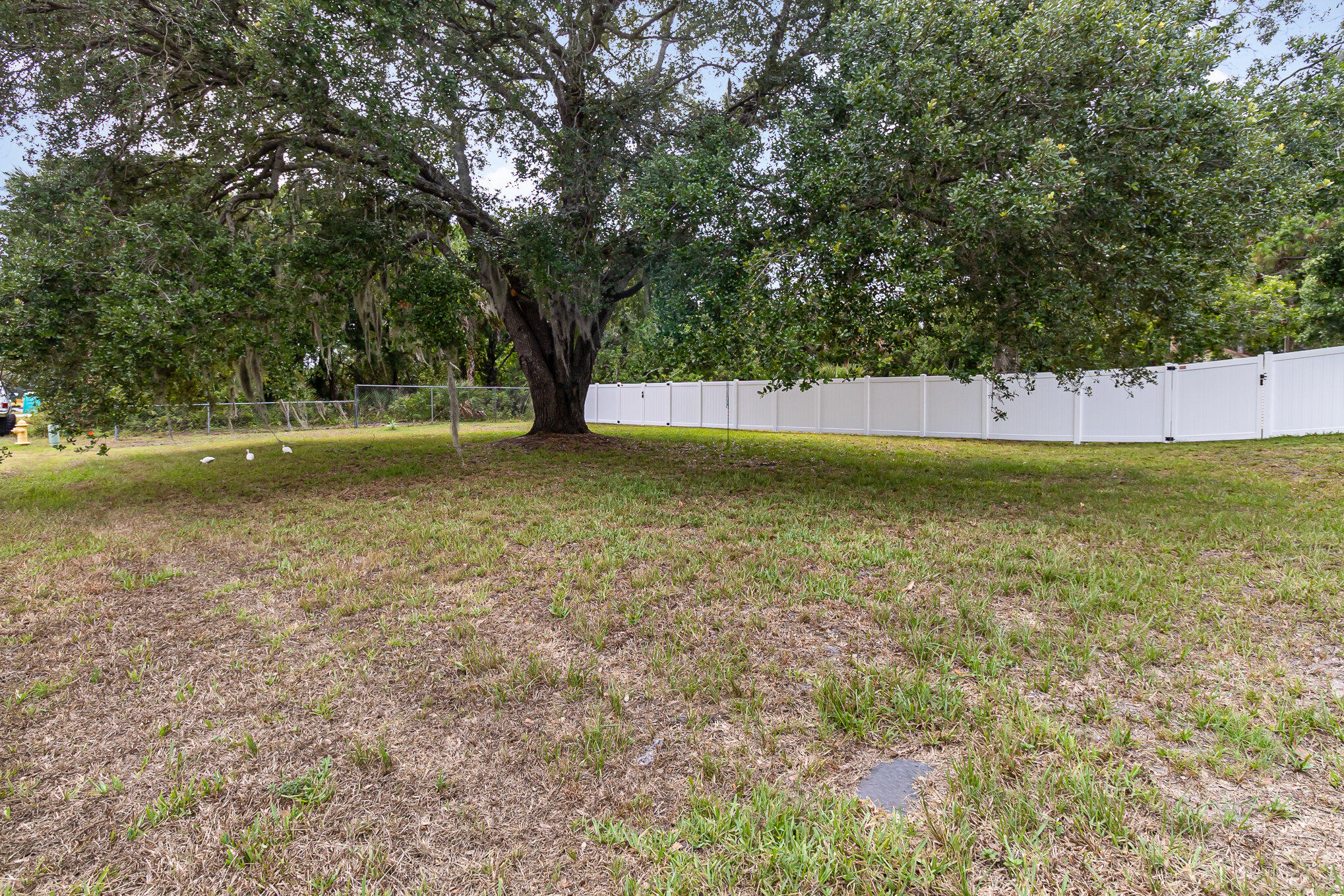 1175 Ransom Road Southeast Palm Bay, FL 32909 - Photo 26 of 31 Front Yard
