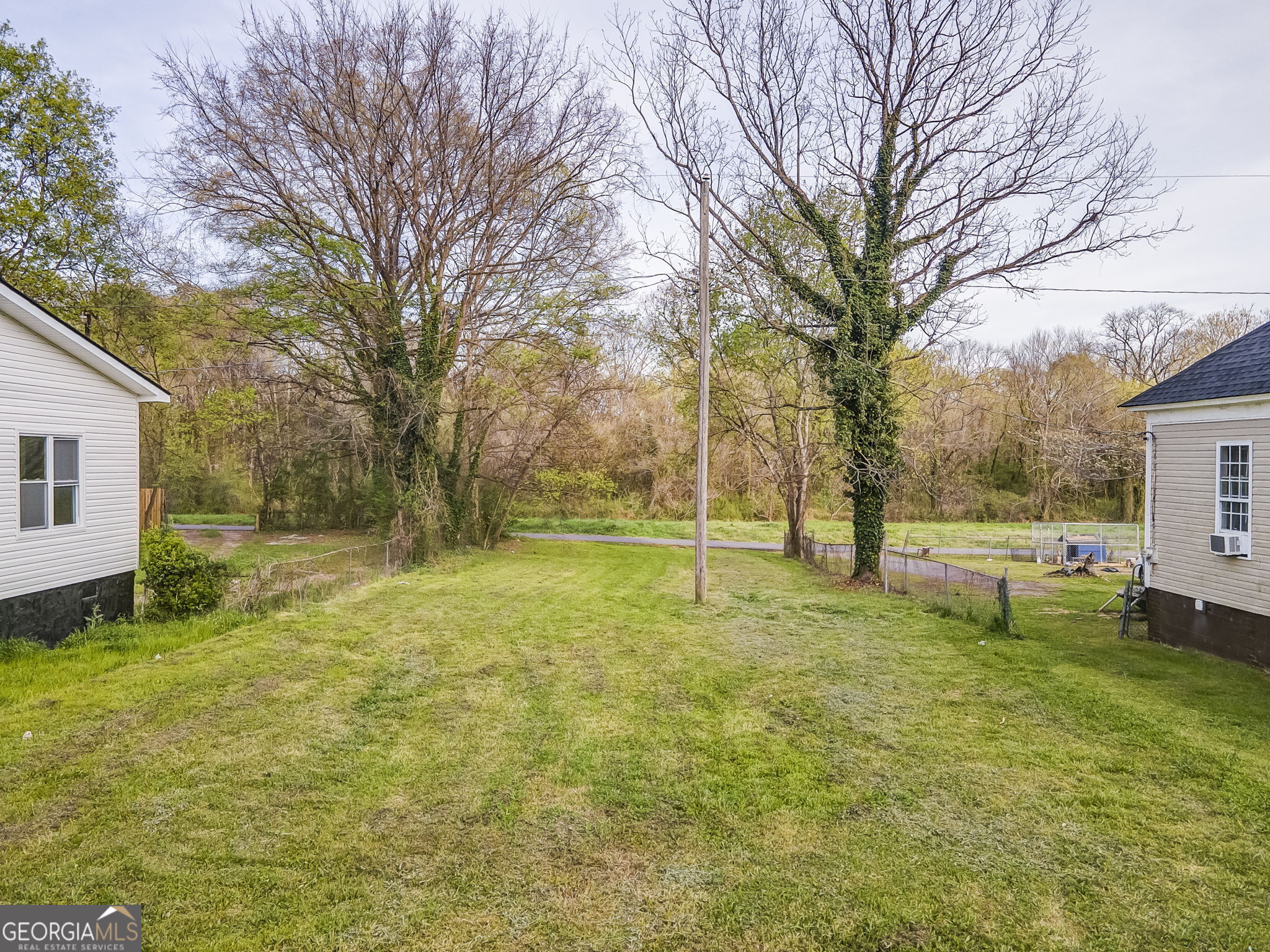 a view of backyard with tree