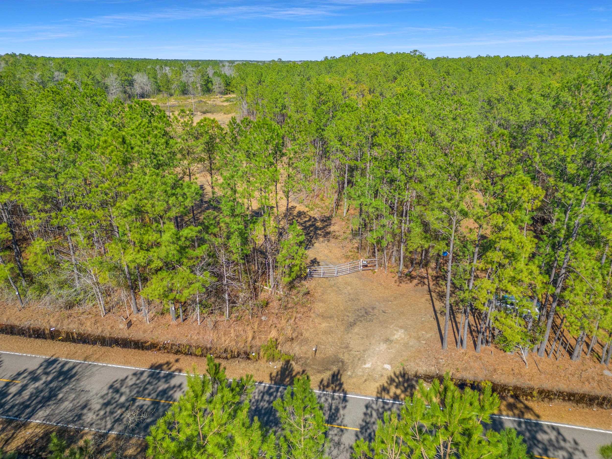Tbd Williams Hill Road Hemingway, SC 29554 - Photo 16 of 17