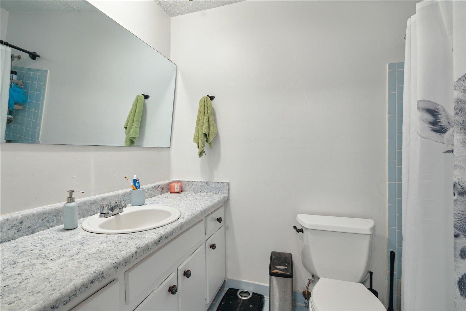 977 Waring Road Memphis, TN 38122 - Photo 26 of 32 Bathroom with toilet, a textured ceiling, curtained shower, and vanity