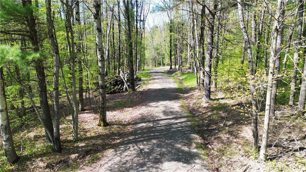 Tracy Road Afton, NY 13730 - Photo 1 of 13