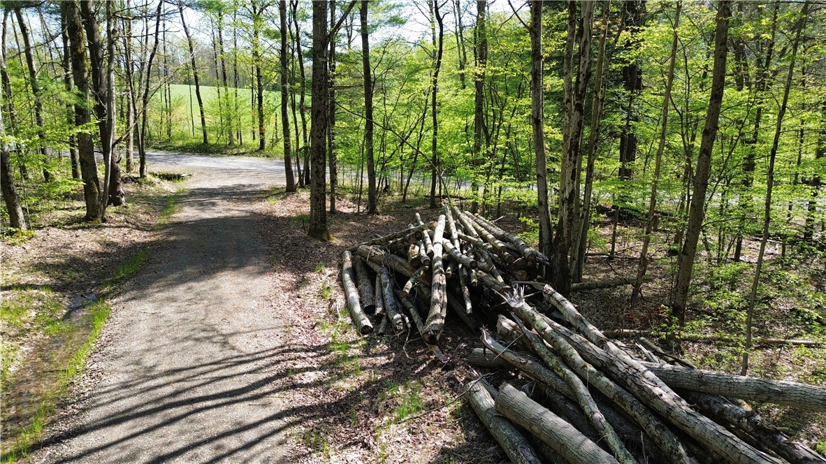 Tracy Road Afton, NY 13730 - Photo 11 of 13