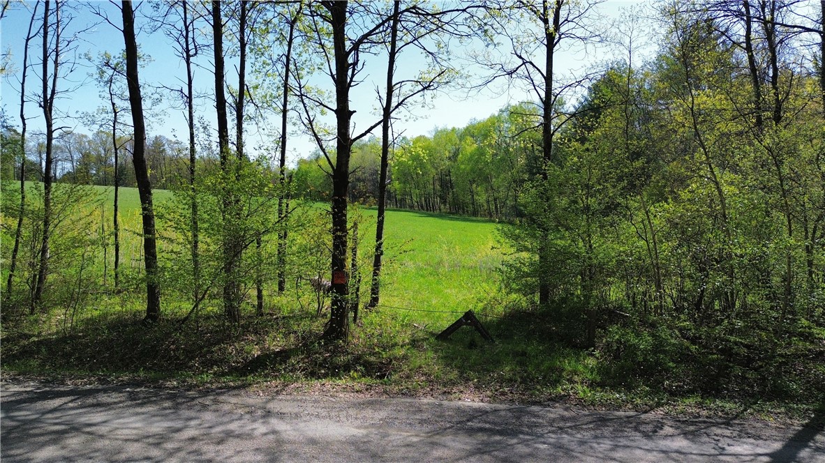 Tracy Road Afton, NY 13730 - Photo 12 of 13