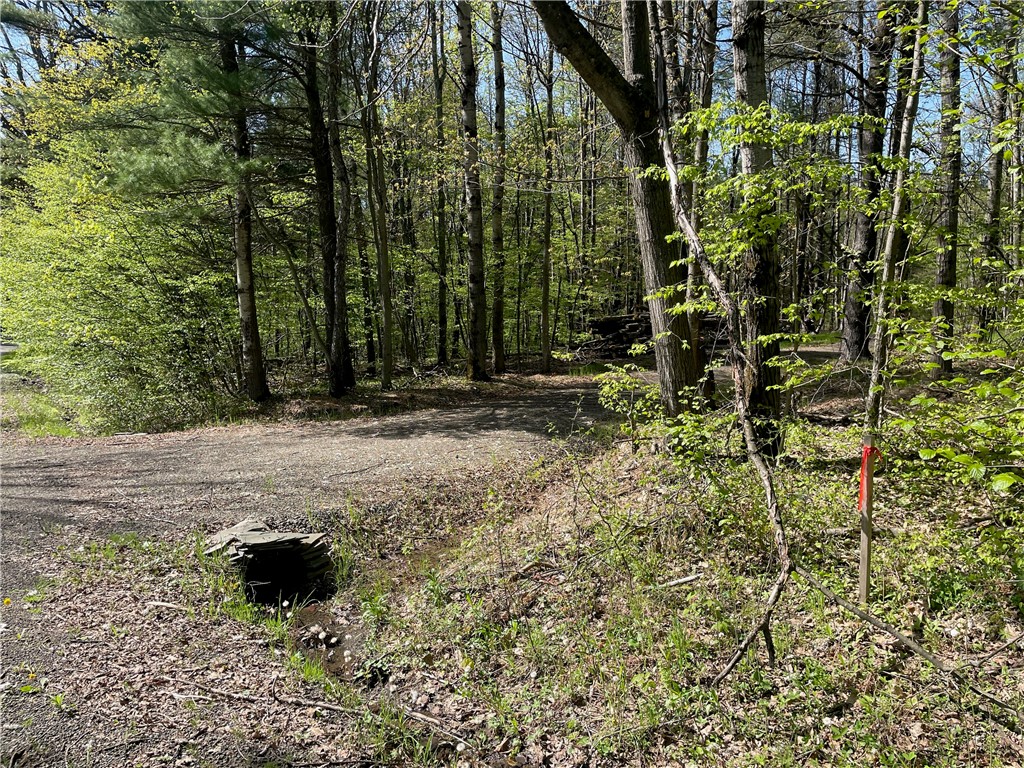 Tracy Road Afton, NY 13730 - Photo 13 of 13