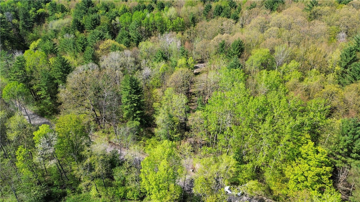 Tracy Road Afton, NY 13730 - Photo 2 of 13