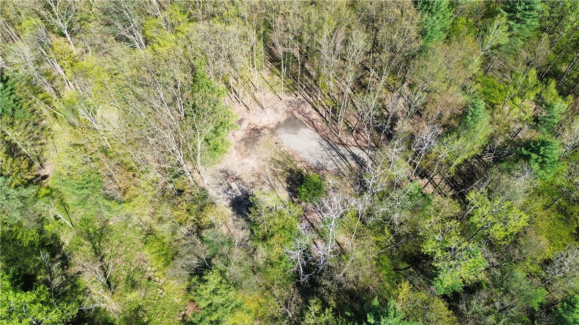 Tracy Road Afton, NY 13730 - Photo 3 of 13