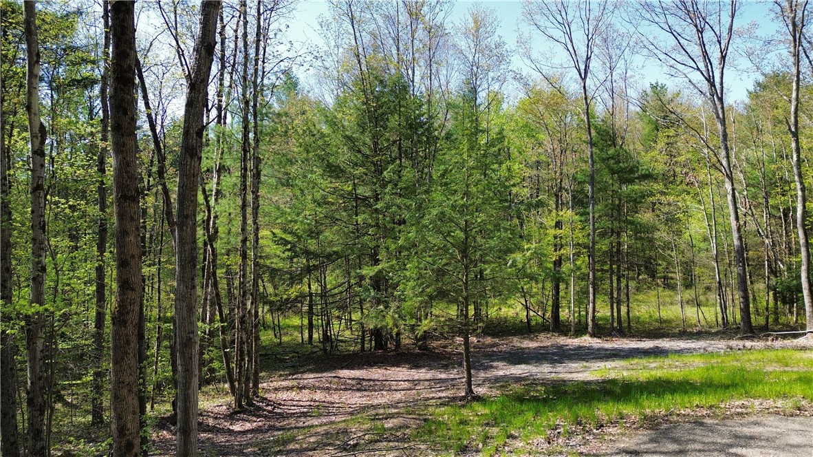 Tracy Road Afton, NY 13730 - Photo 4 of 13