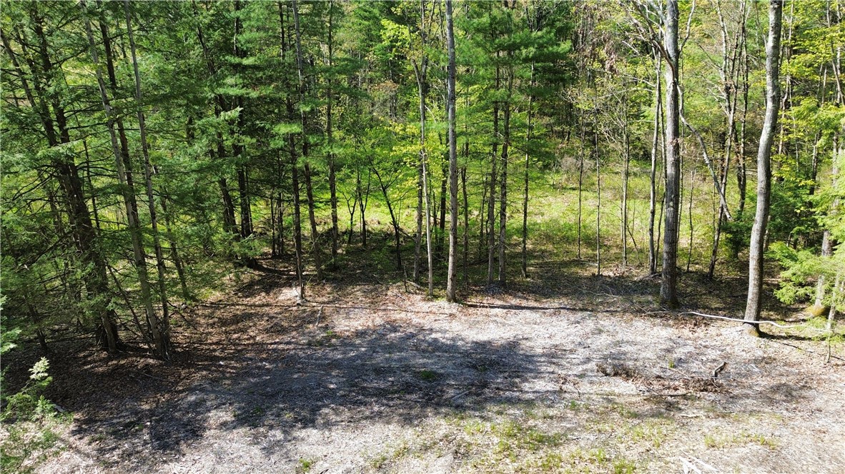 Tracy Road Afton, NY 13730 - Photo 5 of 13