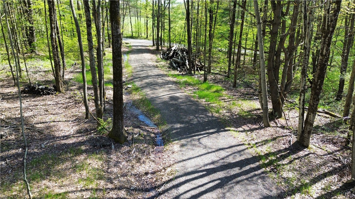 Tracy Road Afton, NY 13730 - Photo 6 of 13