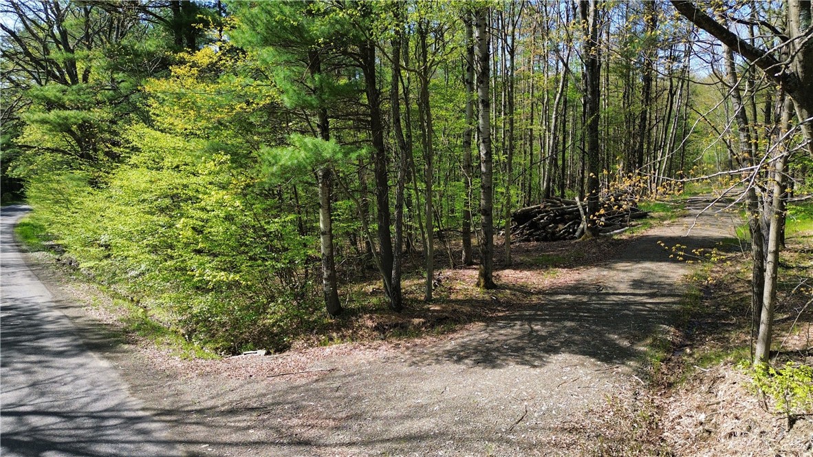 Tracy Road Afton, NY 13730 - Photo 7 of 13