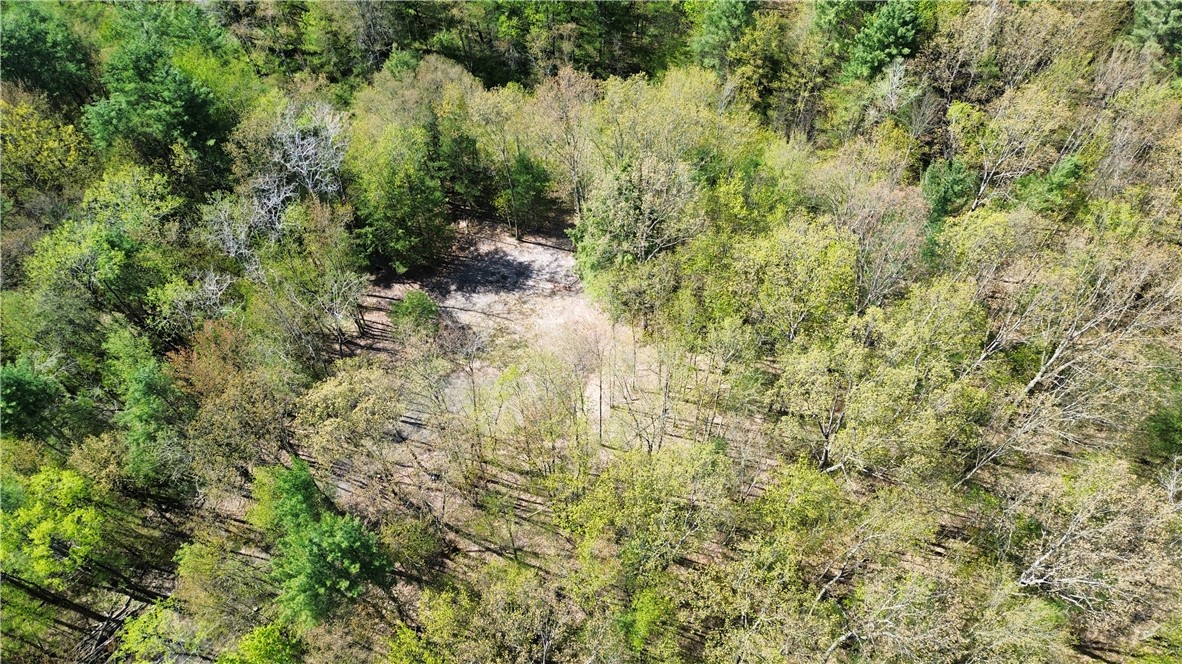 Tracy Road Afton, NY 13730 - Photo 8 of 13