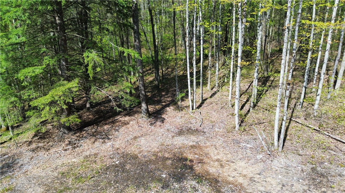 Tracy Road Afton, NY 13730 - Photo 9 of 13