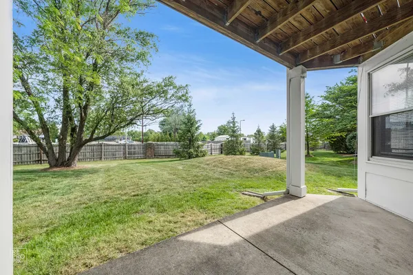 a view of a backyard with large trees and plants