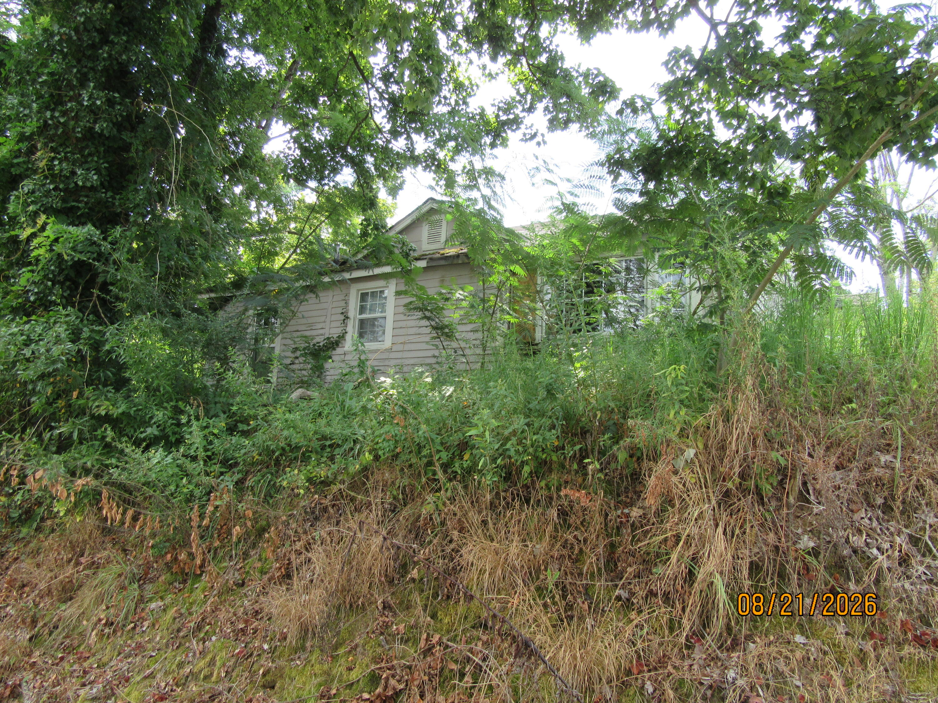 501 South Jackson Street Ripley, MS 38663 - Photo 16 of 20 Gallery Image 16