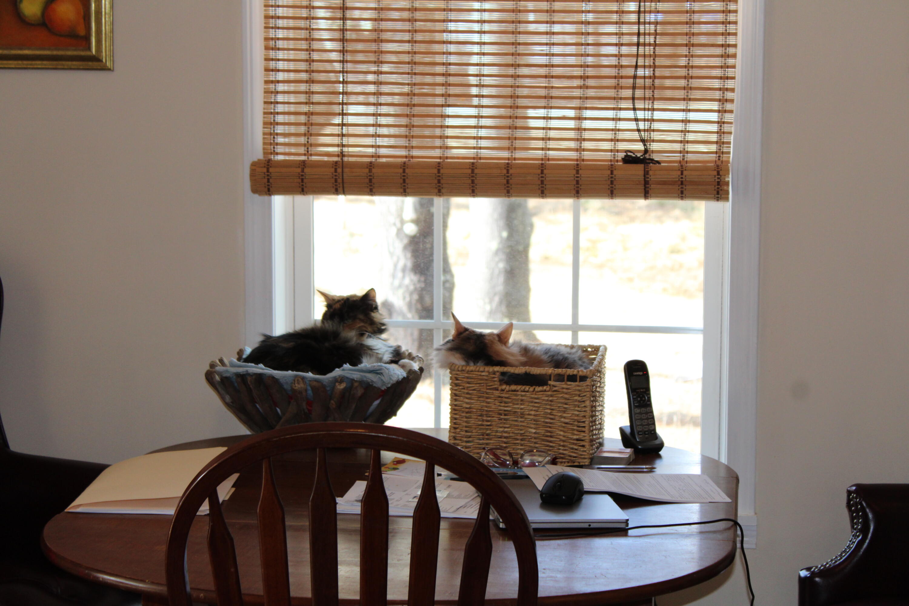 36 Wardtown Road Freeport, ME 04032 - Photo 19 of 42 IMG_0244
