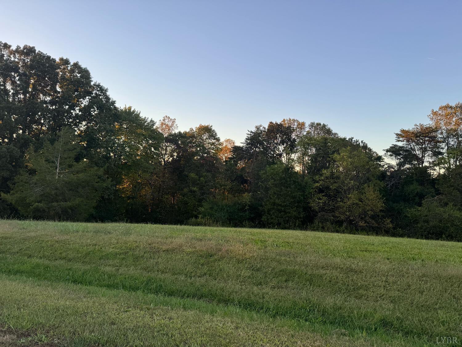 14 Nyle Ridge Road Wirtz, VA 24184 - Photo 6 of 8 a view of a grassy field