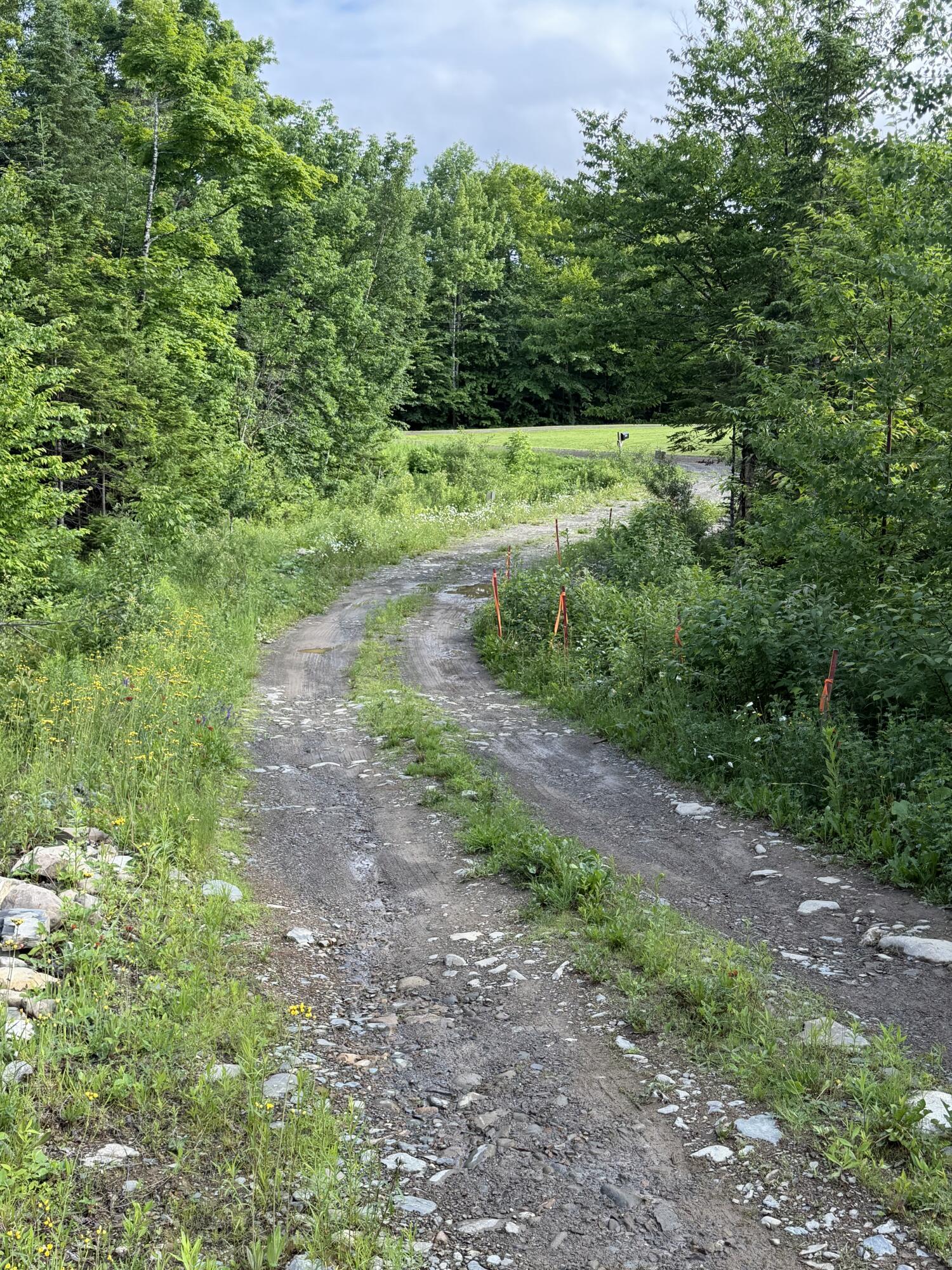 135 Hemore Road Ludlow, ME 04730 - Photo 10 of 15 IMG_20260629_193937