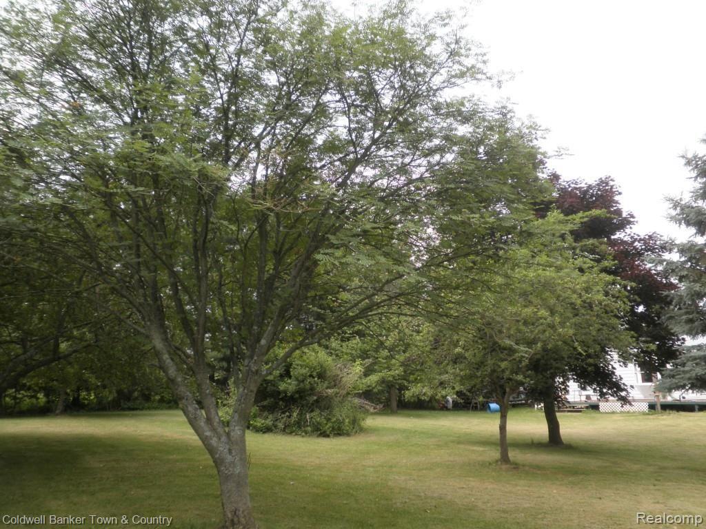 14325 Barnes Road Byron, MI 48418 - Photo 12 of 22 Many Trees