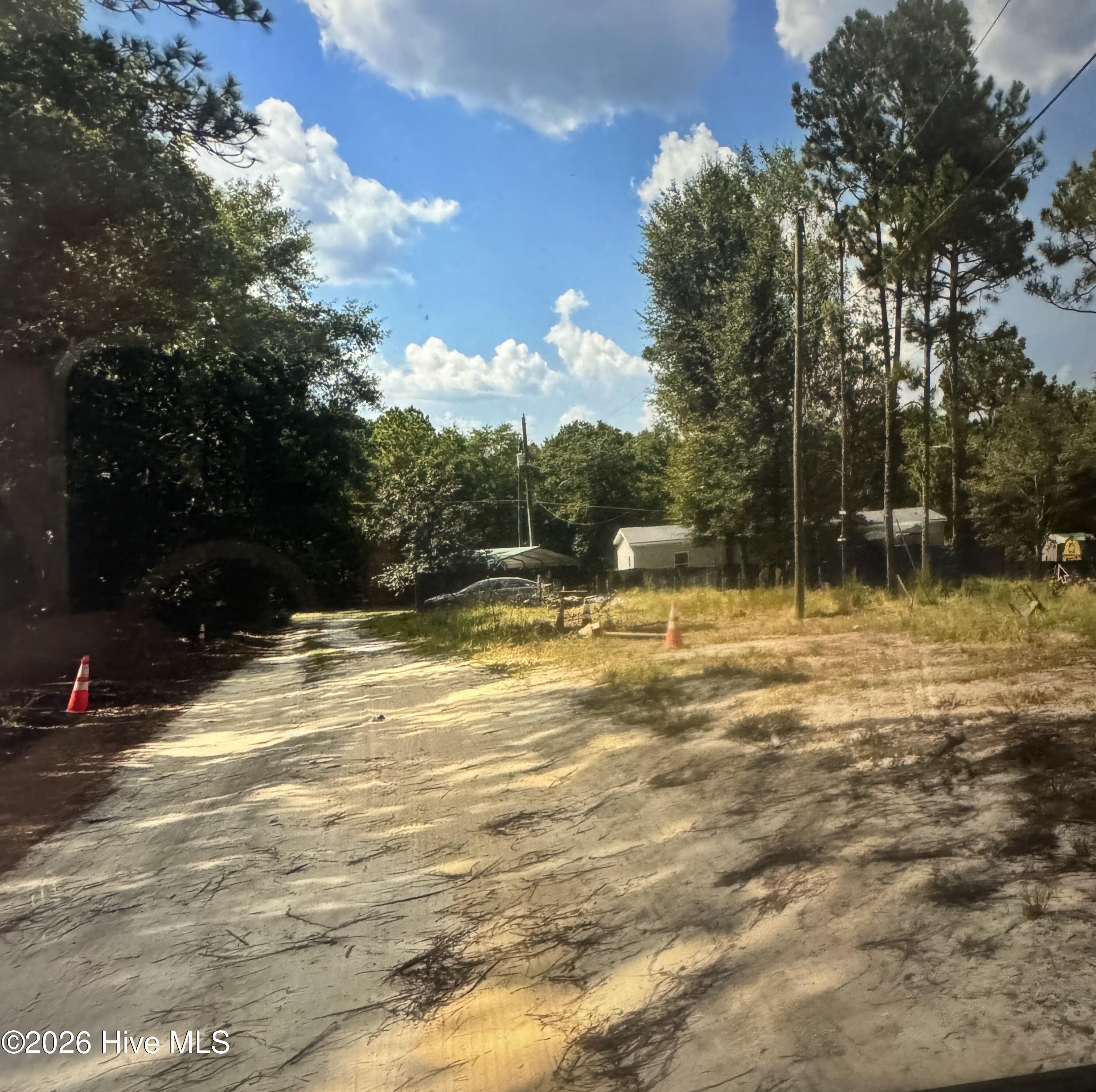 0 Wiregrass Road Hamlet, NC 28345 - Photo 6 of 8 IMG_8088