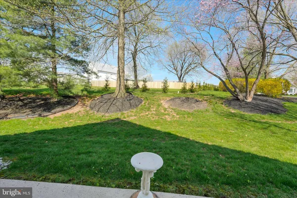 a view of swimming pool in a yard