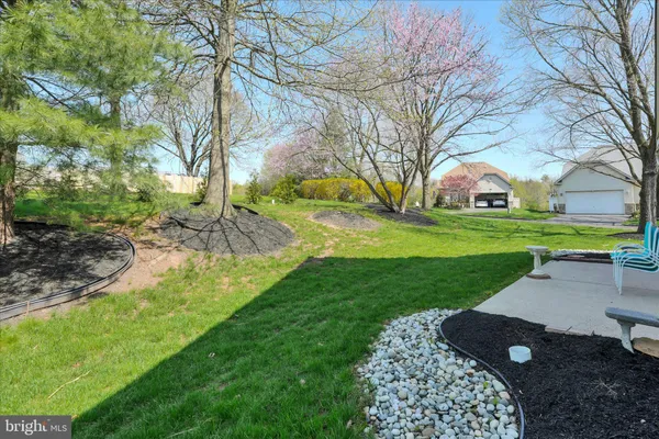 a view of a yard with a tree