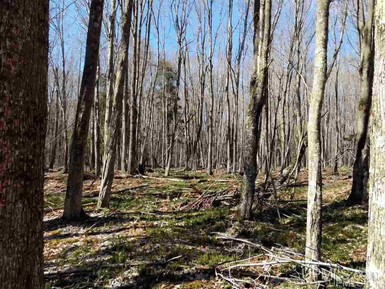Tbd Off Pt Abbaye Road Lanse, MI 49946 - Photo 11 of 38 Gallery Image 11