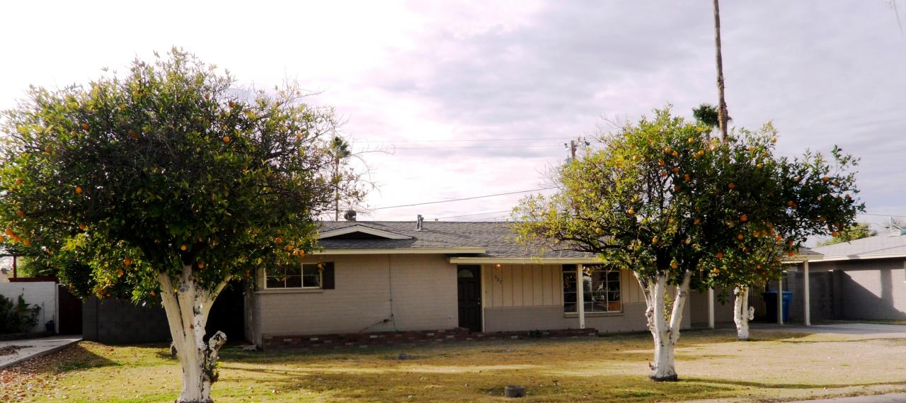 507 West Townley Avenue Phoenix, AZ 85021 - Photo 13 of 16 Front of home
