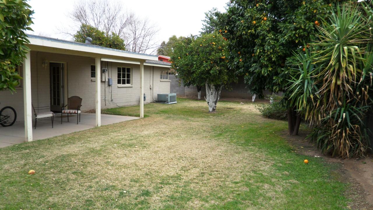 507 West Townley Avenue Phoenix, AZ 85021 - Photo 14 of 16 Large Backyard
