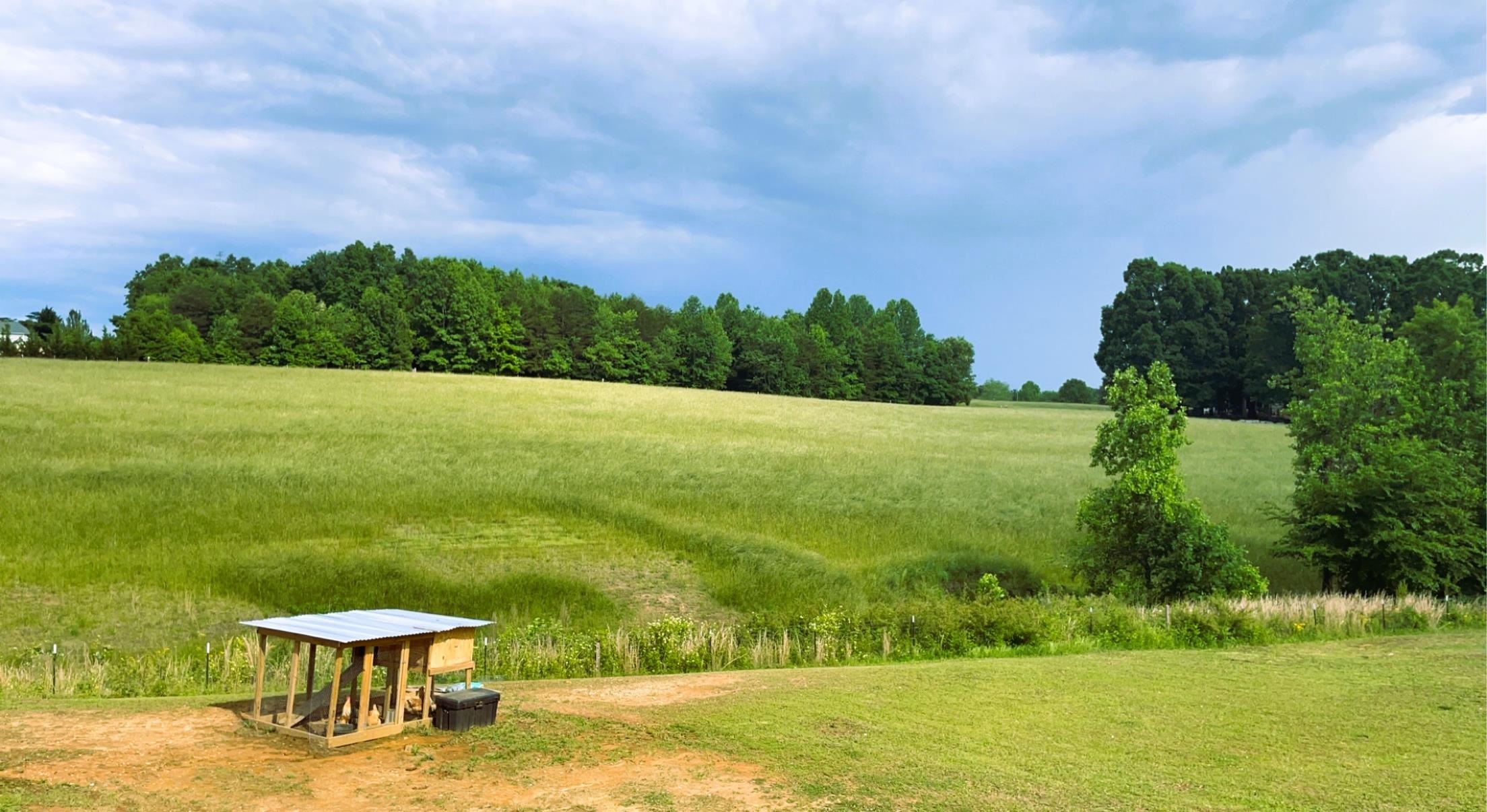 185 Prison Camp Road Campobello, SC 29322 - Photo 2 of 33 Gallery Image 2