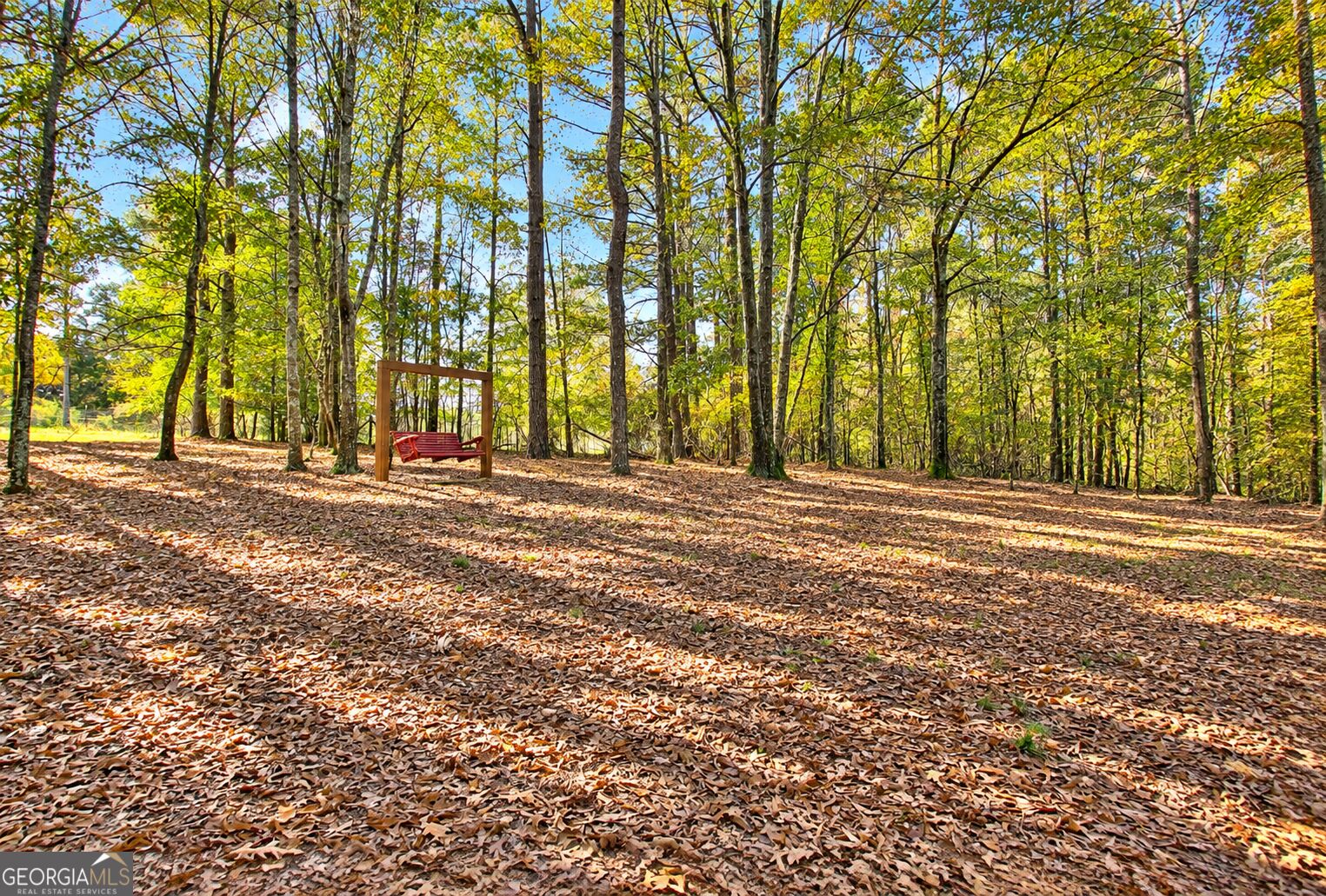 1311 Copeland Road Shiloh, GA 31826 - Photo 56 of 79 Gallery Image 56