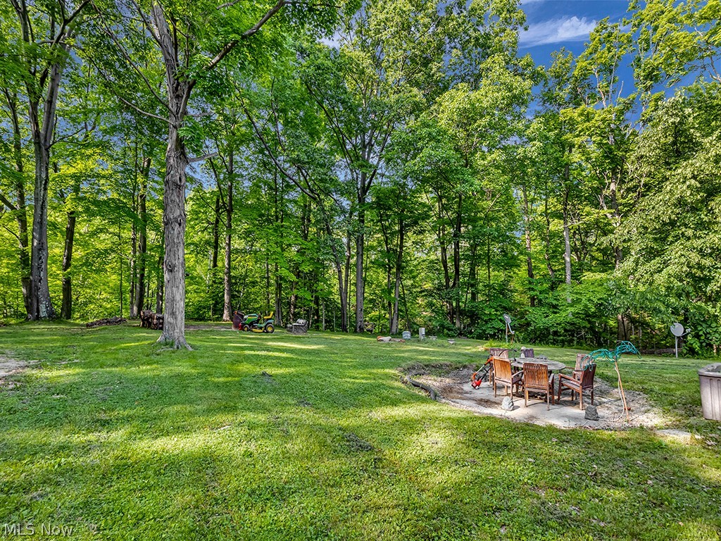16192 Thompson Road Thompson, OH 44086 - Photo 29 of 35