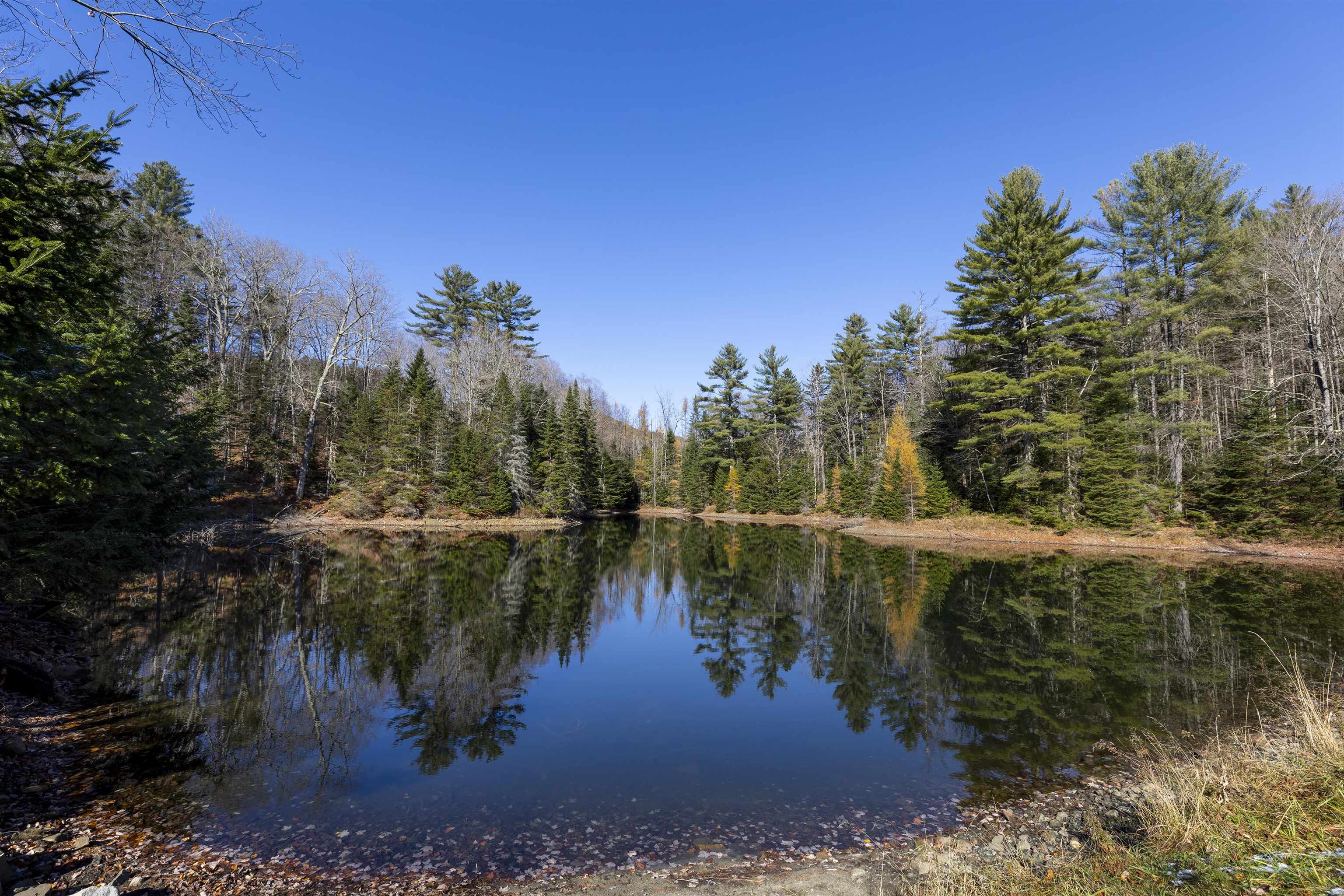 1764 Fish Pond Road Newbury, VT 05081 - Photo 37 of 50