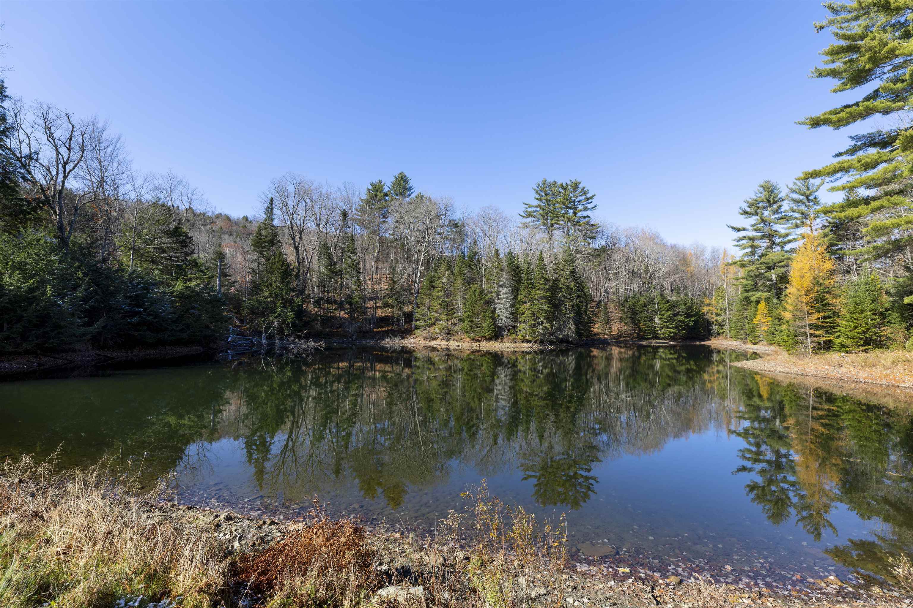 1764 Fish Pond Road Newbury, VT 05081 - Photo 38 of 50