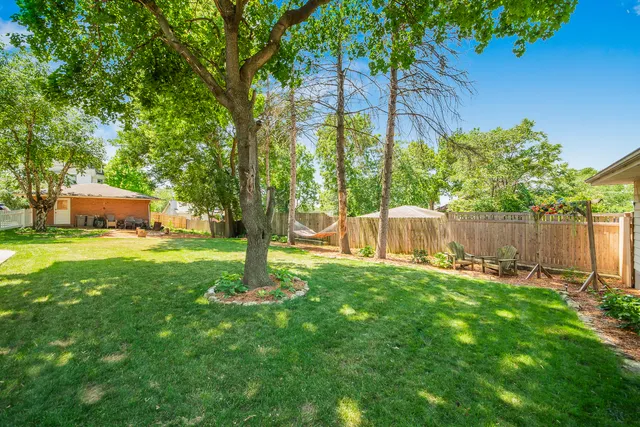 a garden with trees in front of it