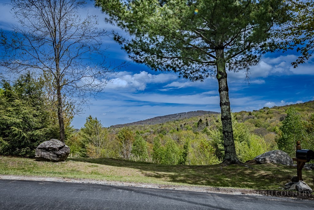 103-105 Upper Grouse Ridge Road Beech Mountain, NC 28604 - Photo 33 of 48 a view of a yard with an tree