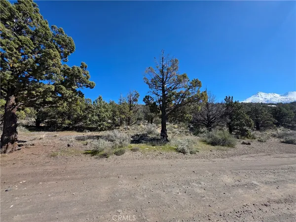 $14,997 | 3 Blk 67 Drive, Montague, CA 96064