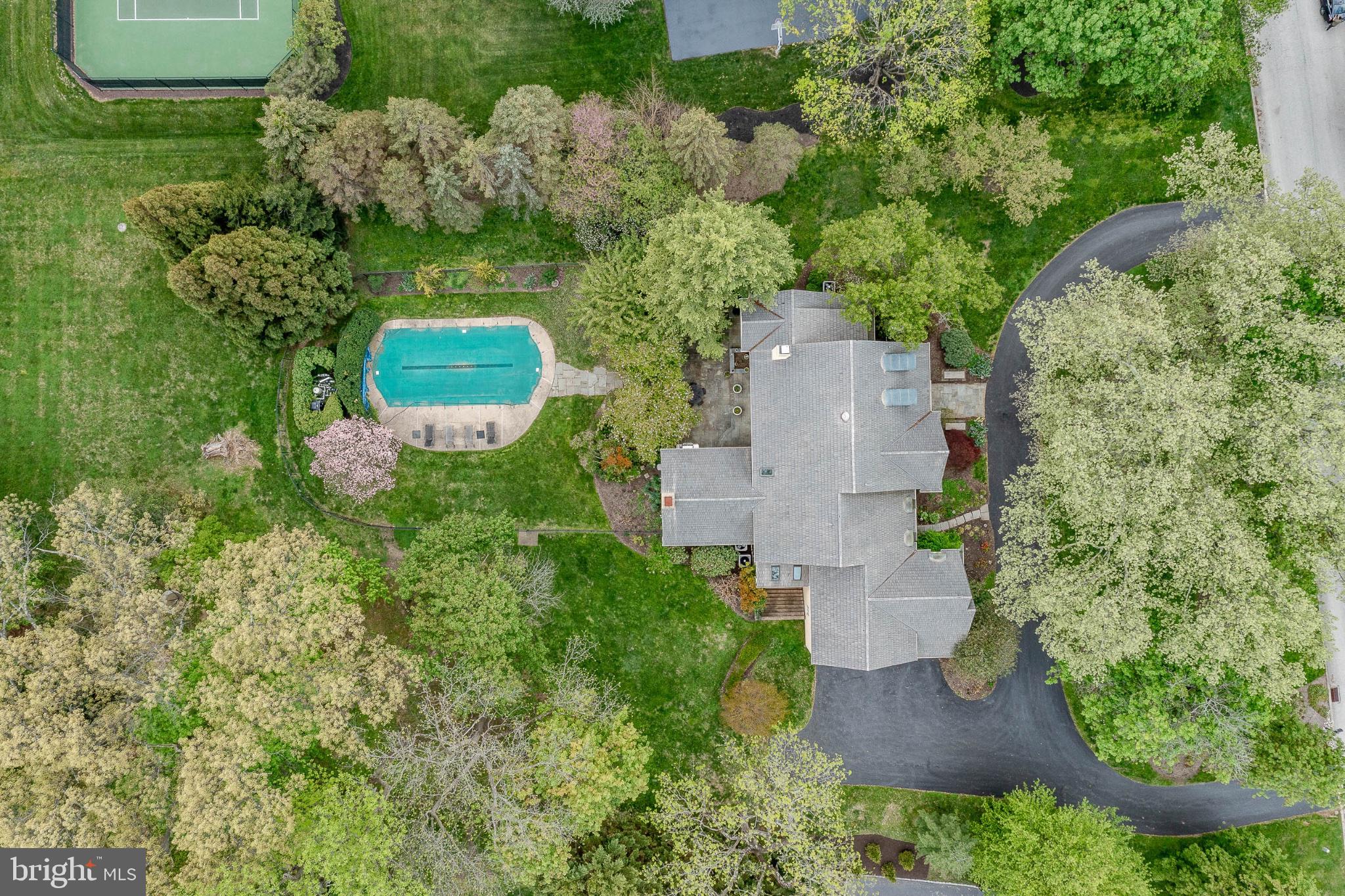 11 Harrison Drive Newtown Square, PA 19073 - Photo 78 of 80 Lush greenery surrounds a serene pool.