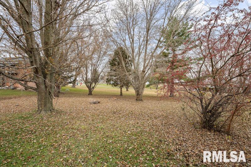 2629 170th Avenue Preemption, IL 61276 - Photo 19 of 21