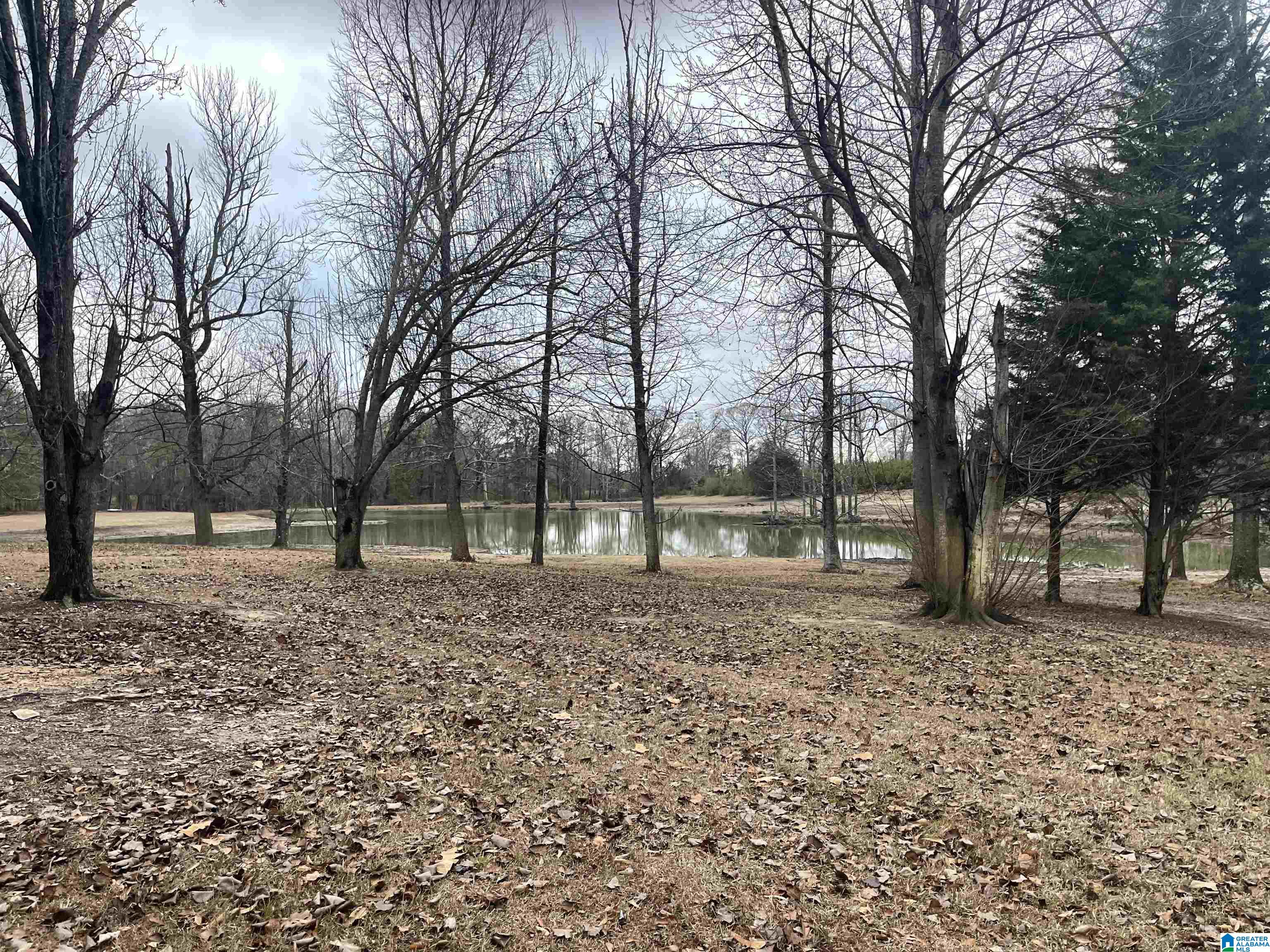 175 County Road 753 Clanton, AL 35045 - Photo 17 of 50