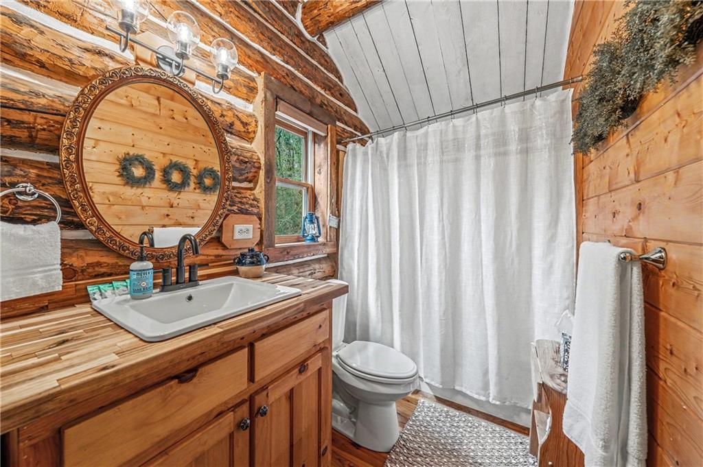 1790 Stanley Creek Road Cherry Log, GA 30522 - Photo 15 of 31 a bathroom with a sink a toilet and a mirror