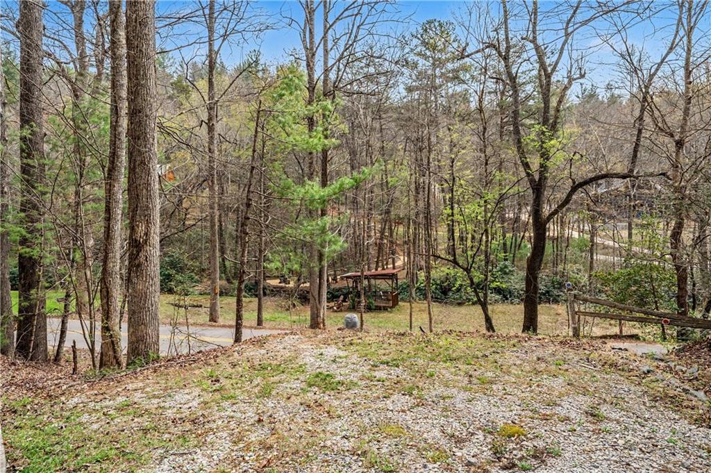 1790 Stanley Creek Road Cherry Log, GA 30522 - Photo 20 of 30 a view of outdoor space with trees