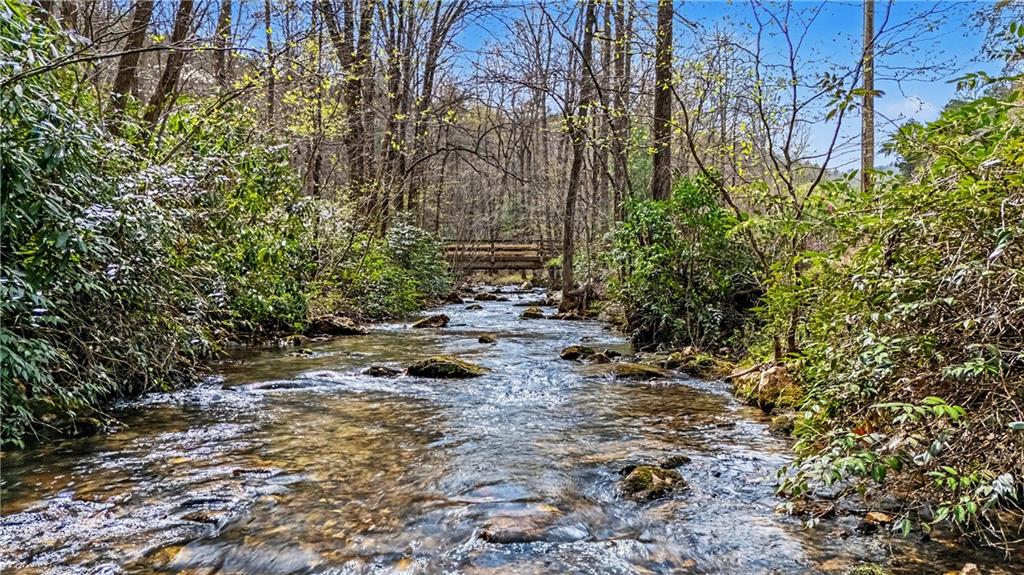 1790 Stanley Creek Road Cherry Log, GA 30522 - Photo 24 of 30 a view of a forest with trees