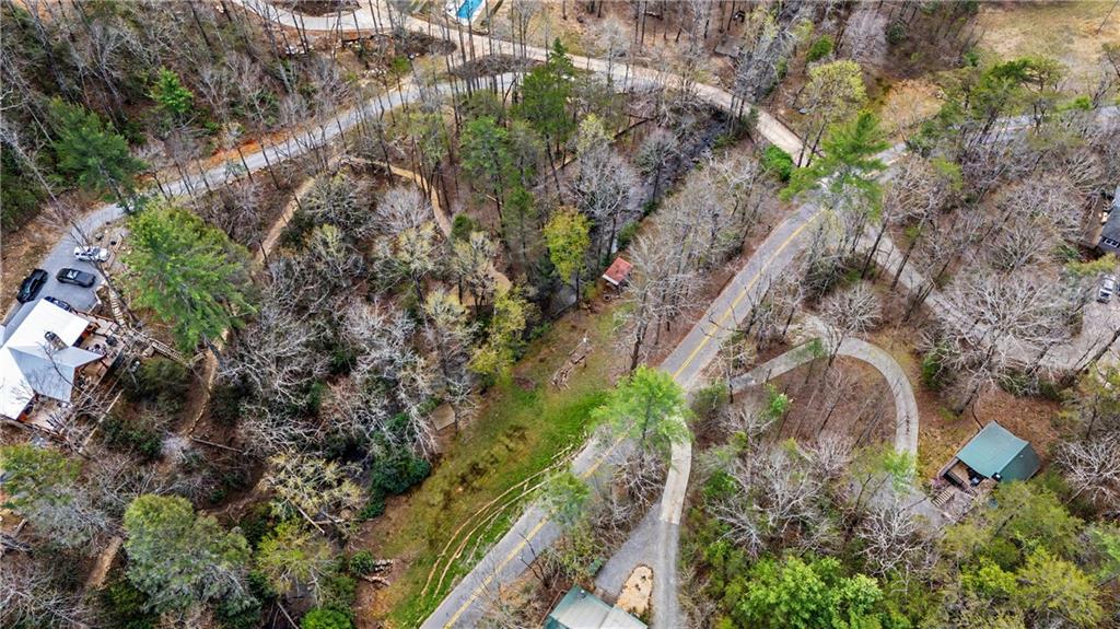 1790 Stanley Creek Road Cherry Log, GA 30522 - Photo 26 of 30 a plant with lots of trees